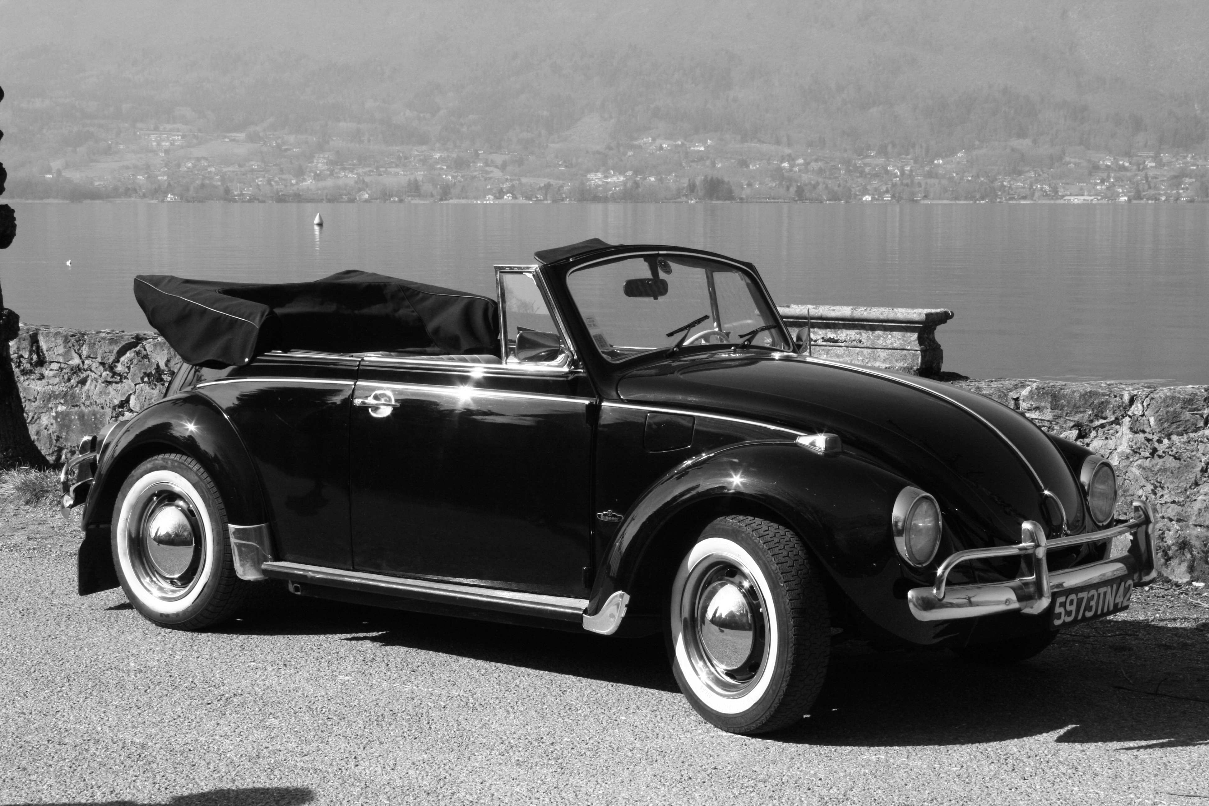 choupette coccinelle noir et blanc